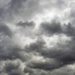 Eminem padit kompaninë australiane ‘Swim Shady’ për shkelje të markës tregtare