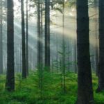 Zjarr në jug të Japonisë përfshin mbi 170 ndërtesa, një person rezulton i zhdukur