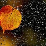 Arrestohet një person në Podujevë për skema piramidale dhe bixhoz të paligjshëm