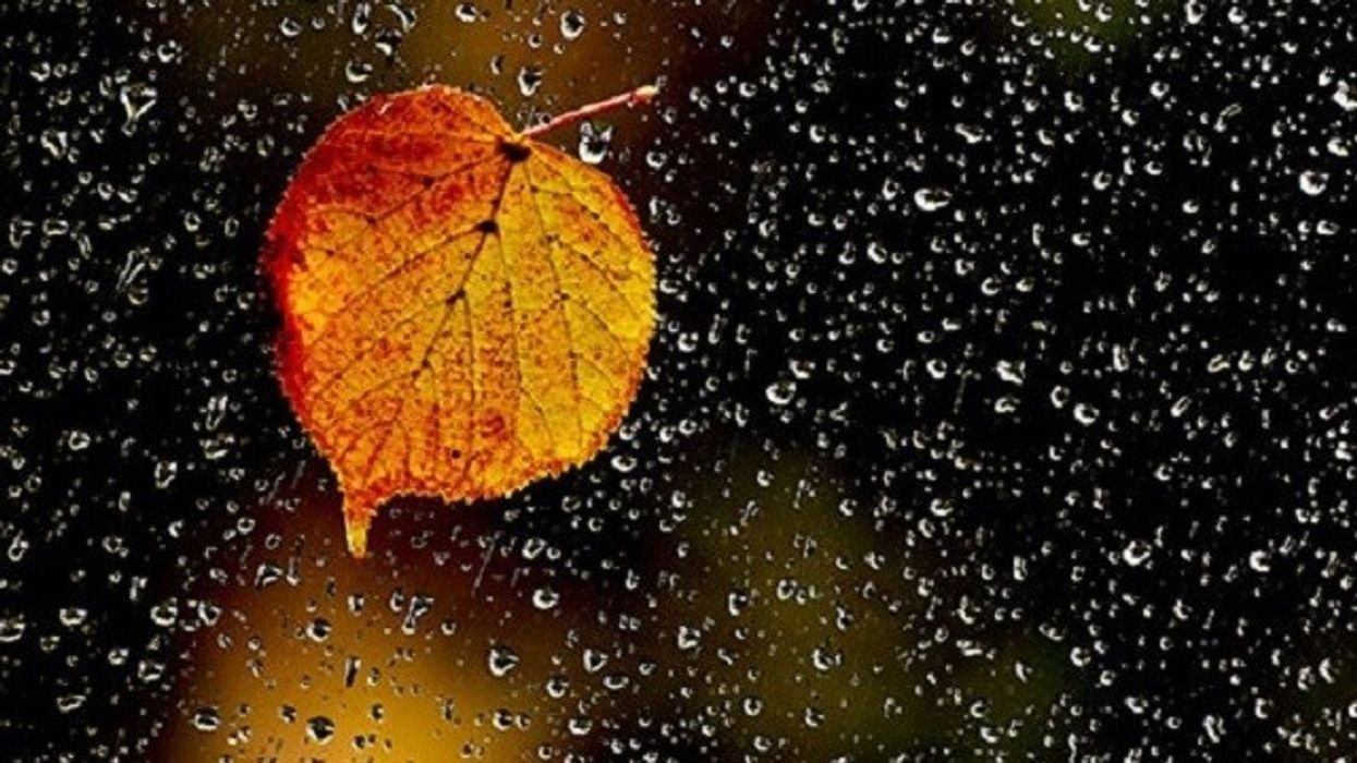 Moti sot: Pjesërisht i vranët, reshje lokale dhe erë nga jugperëndimi