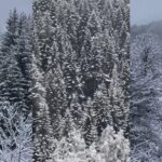 Battlefield 6, loja më e shitur në SHBA në 2025 sipas të dhënave të fundit