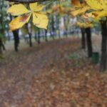 SHMU: Moti i paqëndrueshëm të martën, reshje dhe erë e fortë