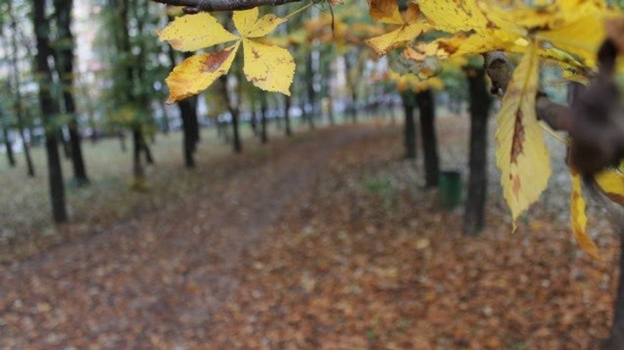 Parashikimi i motit: Sot kryesisht vranët, temperatura 0–11°C