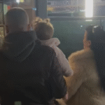 Në Kërçovë largohen mbi 20 punonjës me kontratë dhe 58 sezonalë