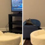 Ndërprerje e madhe në Cloudflare prek shërbime të njohura globale