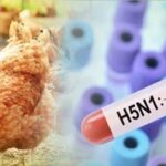 Offset çaktivizon Instagramin pas akuzave nga Cardi B