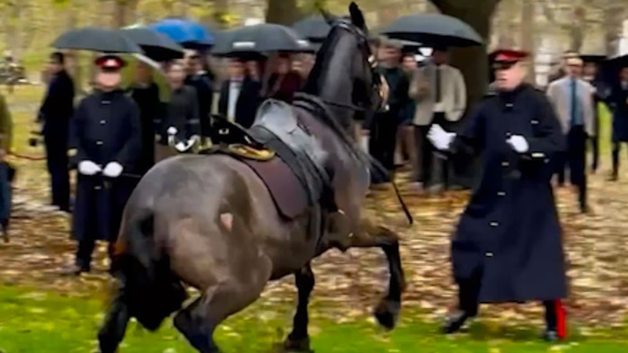 Kalë i arratisur gjatë paradës për ditëlindjen e Mbretit Charles në Londër
