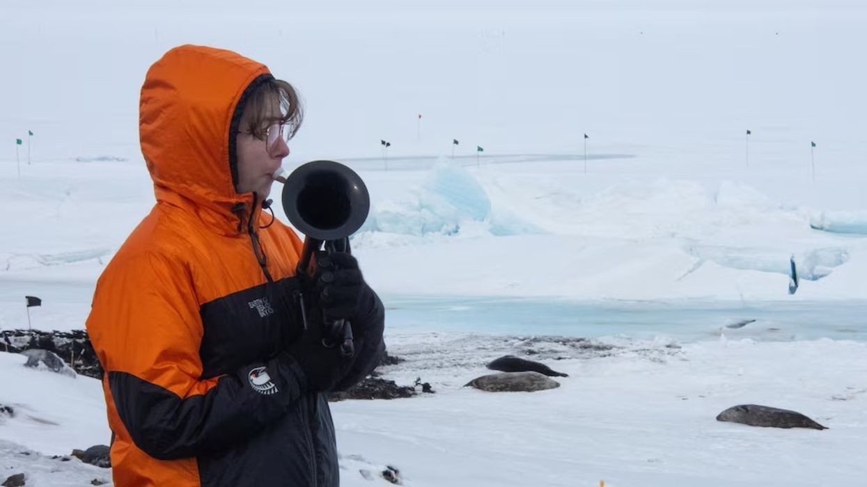 Muzikantja e marinës së Zelandës së Re luan në Antarktidë nga baza Scott