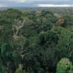 Getinjo: Gjyshi 85-vjeçar pëson sulm në kokë dhe mbetet gjysmë i paralizuar, reperi ndan postime prekëse