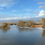 SHBA sinjalizojnë ndryshim të qëndrimit për pjesëmarrjen në samitin e G20 në Johanesburg, thotë Ramaphosa