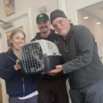 Rahovec: Arrestohet një i dyshuar për dhunë në familje