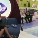 Golden retrieveri Ollie bëhet viral pas videos ku eksploron borën