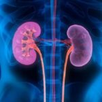 Video në rrjetet sociale shfaq moment afërsie mes Edit dhe Dolces në Big Brother VIP Kosova